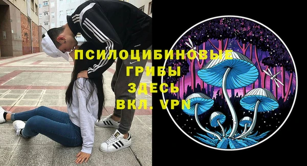 стафф Магас