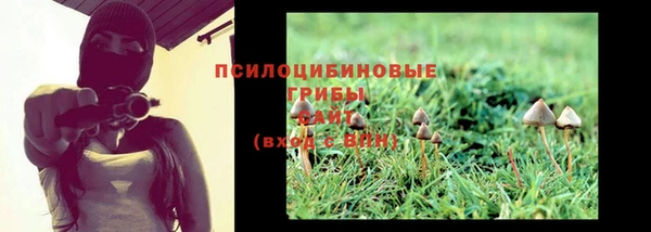 стафф Магас