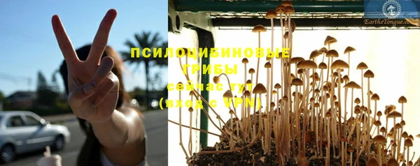 мдпв Магадан